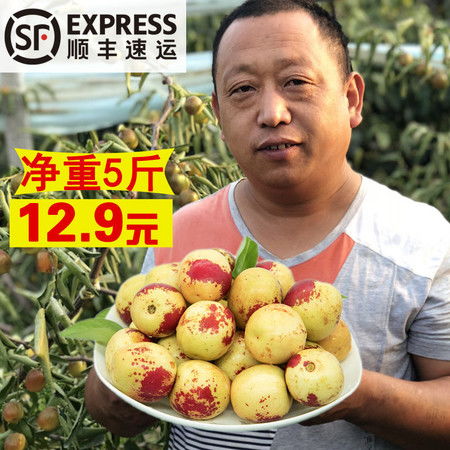 正宗脆甜冬枣 新鲜水果青枣1斤 3斤 5斤装 10 20g 山东沾化包邮