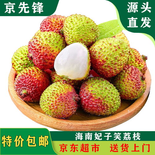 夏日的清凉诱惑 壹棵弘芯8424麒麟大西瓜